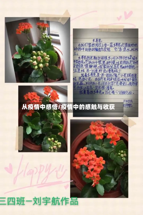 从疫情中感悟/疫情中的感触与收获