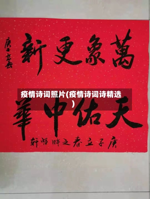 疫情诗词照片(疫情诗词诗精选)-第3张图片