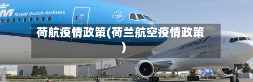 荷航疫情政策(荷兰航空疫情政策)-第2张图片