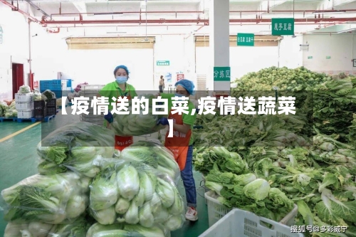 【疫情送的白菜,疫情送蔬菜】-第2张图片