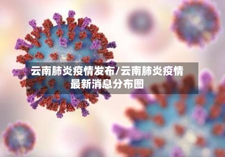 云南肺炎疫情发布/云南肺炎疫情最新消息分布图-第3张图片