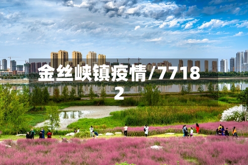 金丝峡镇疫情/77182