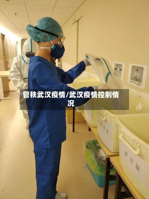 管秩武汉疫情/武汉疫情控制情况