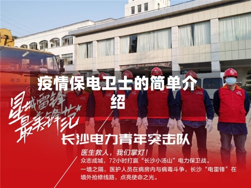 疫情保电卫士的简单介绍