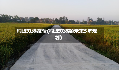桐城双港疫情(桐城双港镇未来5年规划)-第2张图片