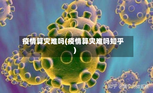 疫情算灾难吗(疫情算灾难吗知乎)