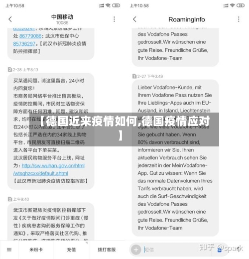 【德国近来疫情如何,德国疫情应对】