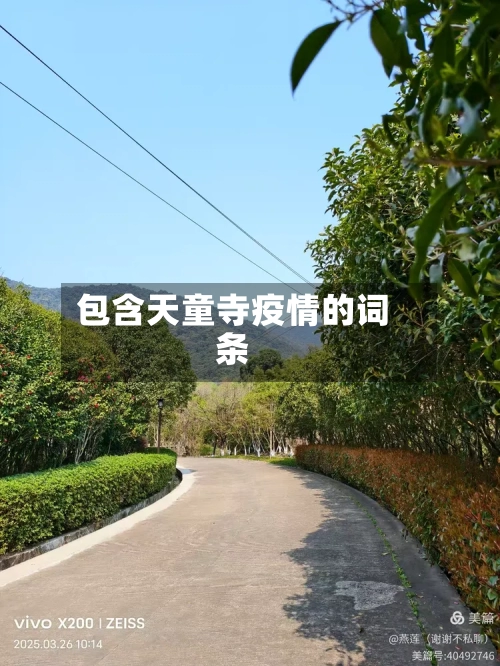 包含天童寺疫情的词条