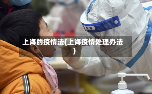 上海的疫情法(上海疫情处理办法)-第3张图片