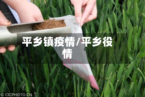 平乡镇疫情/平乡役情