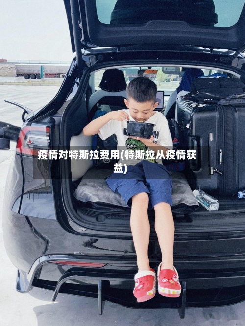 疫情对特斯拉费用(特斯拉从疫情获益)-第3张图片