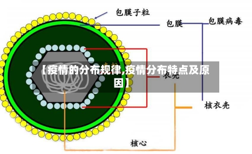 【疫情的分布规律,疫情分布特点及原因】