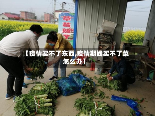 【疫情买不了东西,疫情期间买不了菜怎么办】-第2张图片