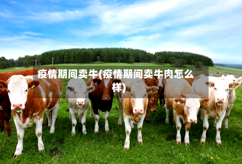 疫情期间卖牛(疫情期间卖牛肉怎么样)-第3张图片