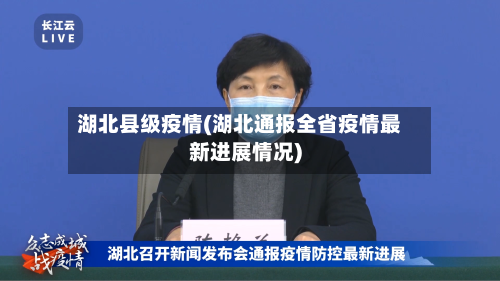 湖北县级疫情(湖北通报全省疫情最新进展情况)-第3张图片
