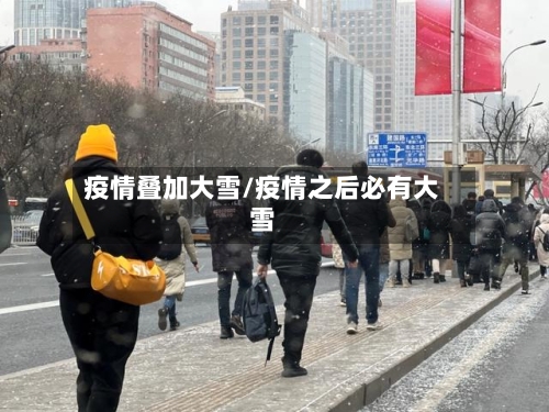 疫情叠加大雪/疫情之后必有大雪-第2张图片