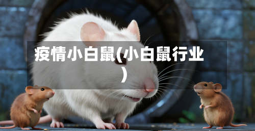疫情小白鼠(小白鼠行业)