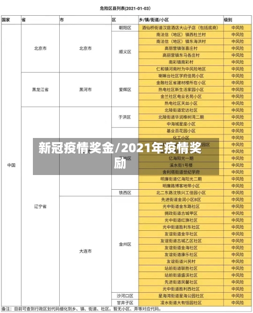 新冠疫情奖金/2021年疫情奖励-第2张图片