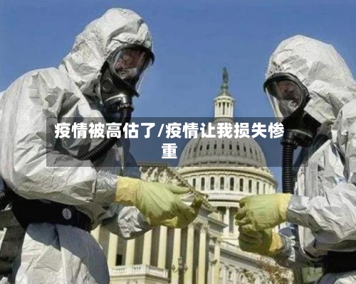 疫情被高估了/疫情让我损失惨重