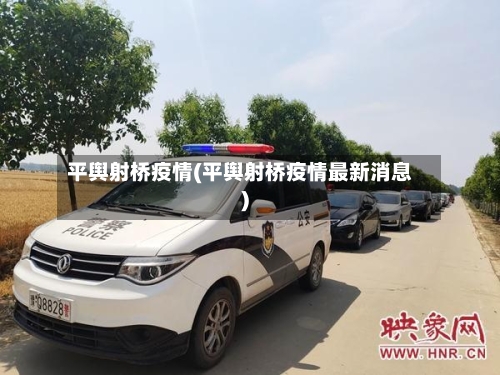 平舆射桥疫情(平舆射桥疫情最新消息)-第3张图片