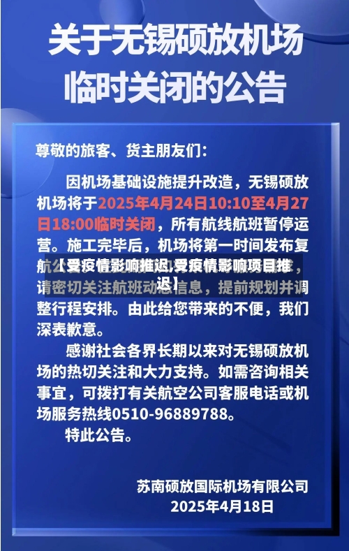 【受疫情影响推迟,受疫情影响项目推迟】