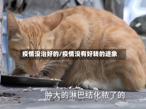 疫情没治好的/疫情没有好转的迹象