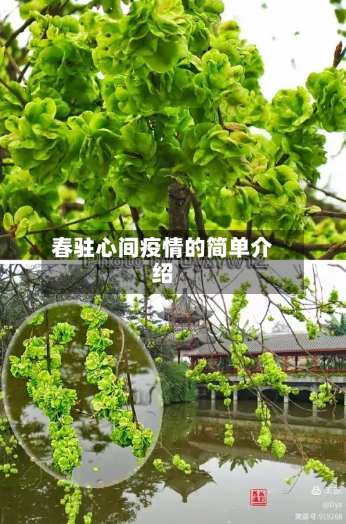 春驻心间疫情的简单介绍
