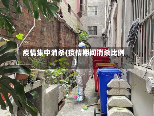 疫情集中消杀(疫情期间消杀比例)-第2张图片