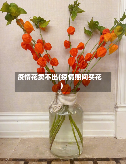 疫情花卖不出(疫情期间买花)-第2张图片