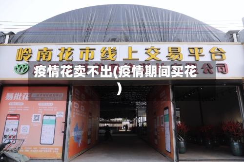 疫情花卖不出(疫情期间买花)-第3张图片