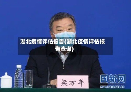 湖北疫情评估报告(湖北疫情评估报告查询)
