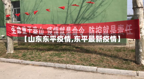 【山东东平疫情,东平最新疫情】