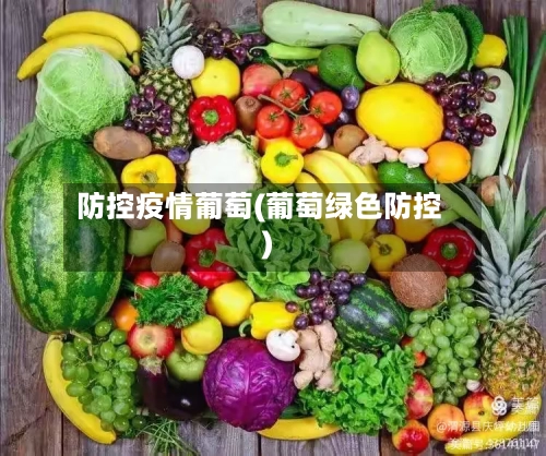 防控疫情葡萄(葡萄绿色防控)