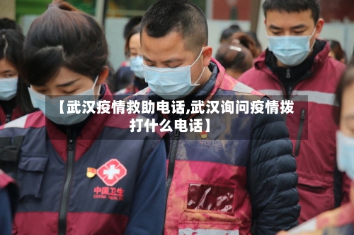 【武汉疫情救助电话,武汉询问疫情拨打什么电话】-第3张图片