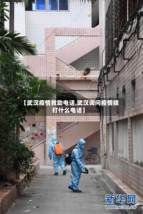 【武汉疫情救助电话,武汉询问疫情拨打什么电话】-第2张图片