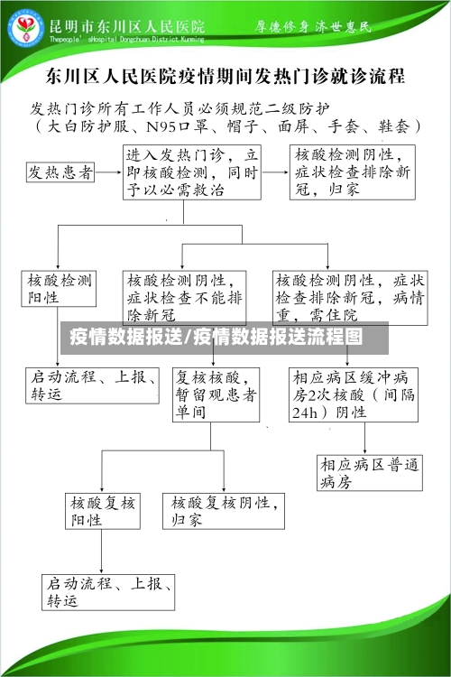 疫情数据报送/疫情数据报送流程图
