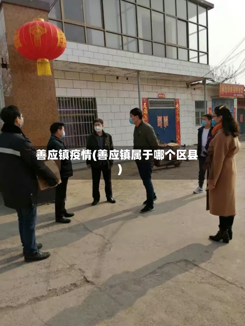 善应镇疫情(善应镇属于哪个区县)-第2张图片