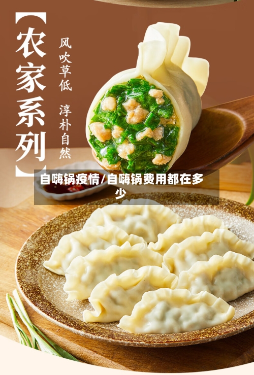 自嗨锅疫情/自嗨锅费用都在多少