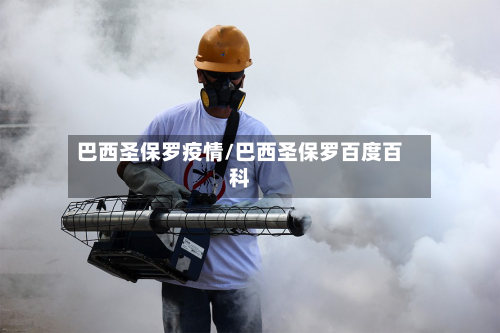 巴西圣保罗疫情/巴西圣保罗百度百科