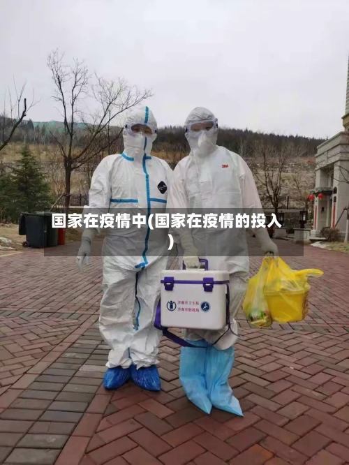 国家在疫情中(国家在疫情的投入)-第2张图片