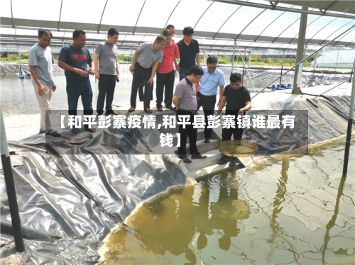 【和平彭寨疫情,和平县彭寨镇谁最有钱】