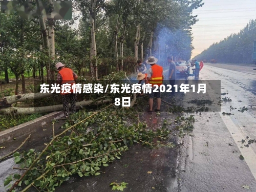东光疫情感染/东光疫情2021年1月8日-第2张图片