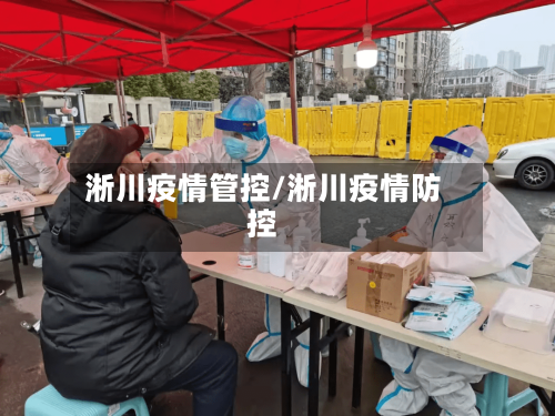 淅川疫情管控/淅川疫情防控