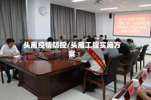 头雁疫情防控/头雁工程实施方案-第2张图片