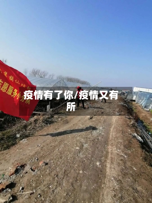 疫情有了你/疫情又有所-第3张图片