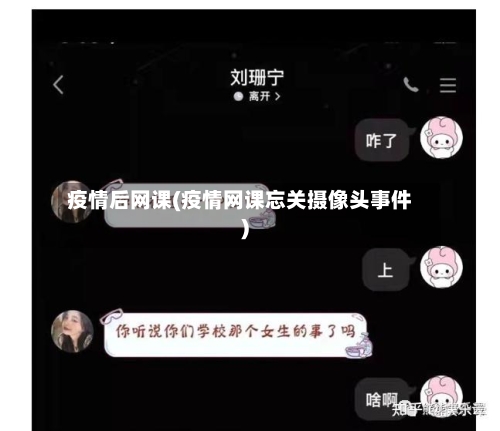 疫情后网课(疫情网课忘关摄像头事件)