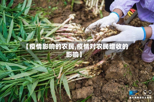 【疫情影响的农民,疫情对农民增收的影响】-第2张图片