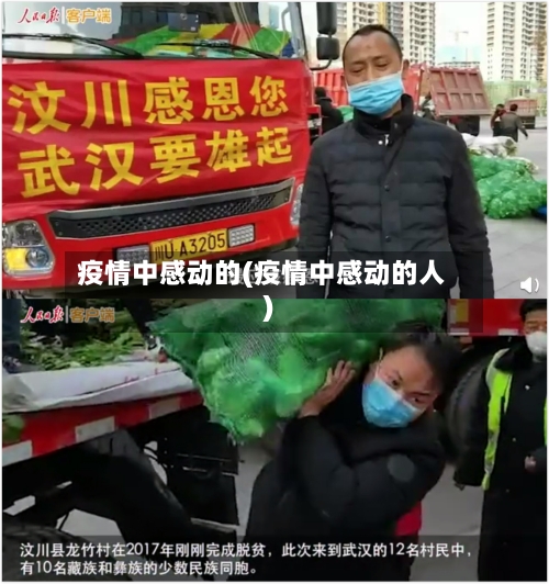 疫情中感动的(疫情中感动的人)