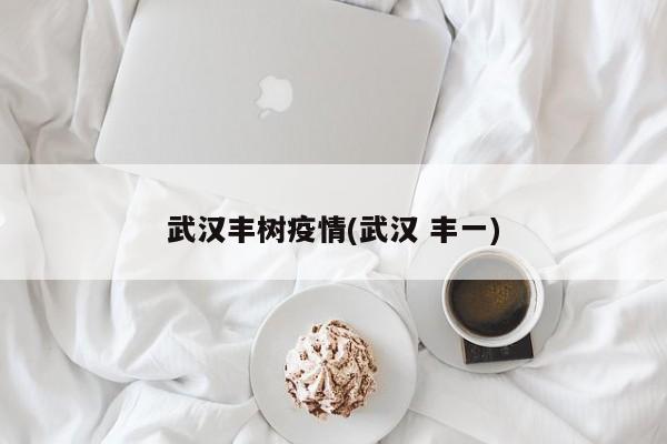 武汉丰树疫情(武汉 丰一)