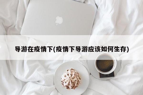 导游在疫情下(疫情下导游应该如何生存)